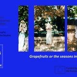 Grapefruits or the Seasons in the City: H  συμμετοχή του τμήματος Θεατρικών Σπουδών στις live art δράσεις της Ελληνικής Φοιτητικής Συμμετοχής-Prague Quadrennial 2023 