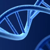 SUMMER SCHOOL: THE SCIENCE, ETHICS AND GOVERNANCE OF GENOME EDITING